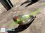 Immagine 14