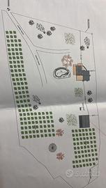 Villa con dependanze lusso