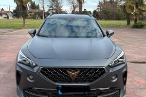 Cupra Formentor Grigio Opaco