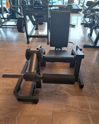 LEG EXTENSION 