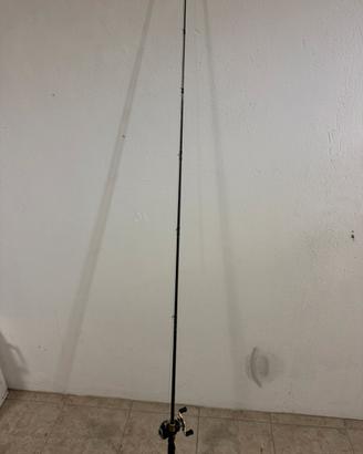 Canna Daiwa + Mulinello Quantum + Filo trecciato