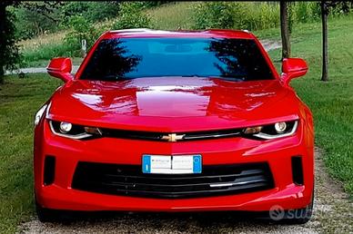 splendida camaro ufficiale europa