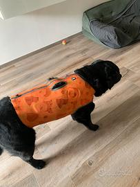Corpetto protettivo per cane