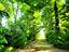 Immagine 20