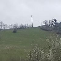 Terreno coltivabile e bosco