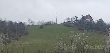 Terreno coltivabile e bosco