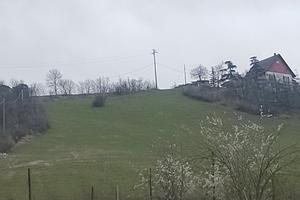 Terreno coltivabile e bosco