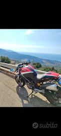 Ducati Monster 696 Course 
