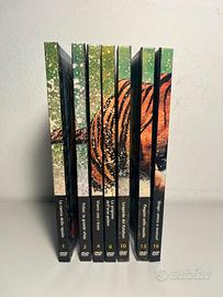 Natural Killers DVD Lotto Animali Selvaggi N. 7