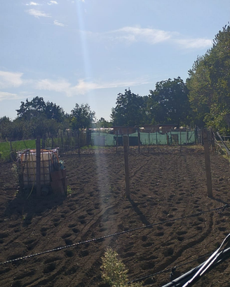 Terreno agricolo