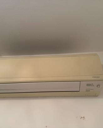 2 condizionatori daikin con 1 motore dual split
