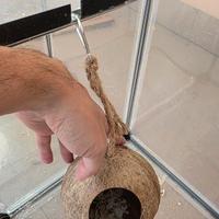 Cocco grande per animali di piccole dimensioni