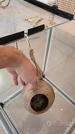 Cocco grande per animali di piccole dimensioni