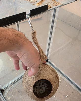 Cocco grande per animali di piccole dimensioni