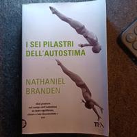 I sei pilastri dell’autostima – Nathaniel Branden