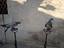 Immagine 2