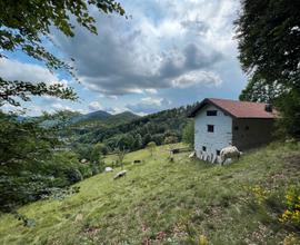 Cerco baita/rustico in montagna