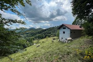 Cerco baita/rustico in montagna