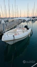 Sikania 19 con motore mercury 115ct