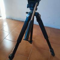 treppiedi professionale