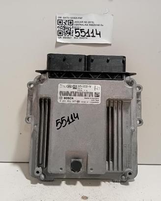 CENTRALINA INIEZIONE JAGUAR XE Serie (X760) GX73-1