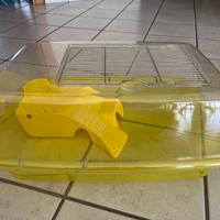 Acquario per tartarughe