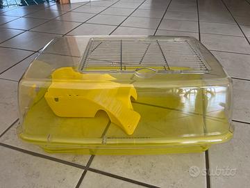 Acquario per tartarughe