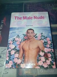 The Male Nude 25th Anniversary TASCHEN (VM18)