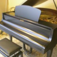 pianoforte a coda Hoffman & Kune