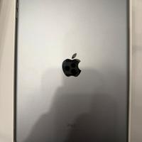Ipad 6 generazione wifi + cellular 32gb