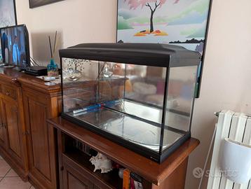 Acquario Terrario Ferplast 80cm + Filtro Nuovo