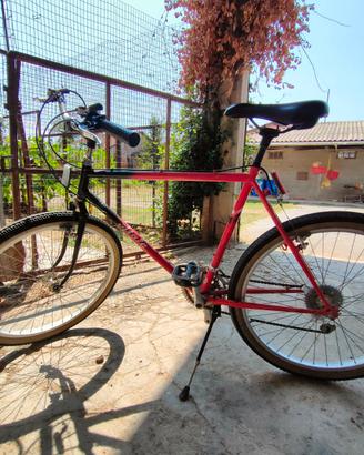 Bicicletta 26"