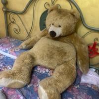 Peluche orso della Trudi grande xxl