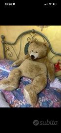 Peluche orso della Trudi grande xxl