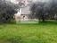 Immagine 11