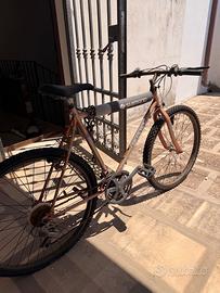 Mountain bike