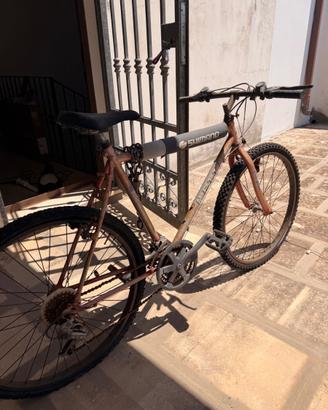 Mountain bike