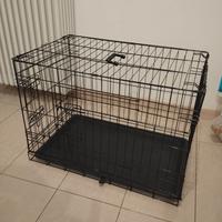 kennel cani 