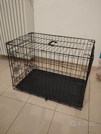 kennel cani 