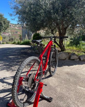 Mtb Massi Team
