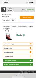 Tagliaerba elettrico