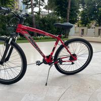 Mountain bike