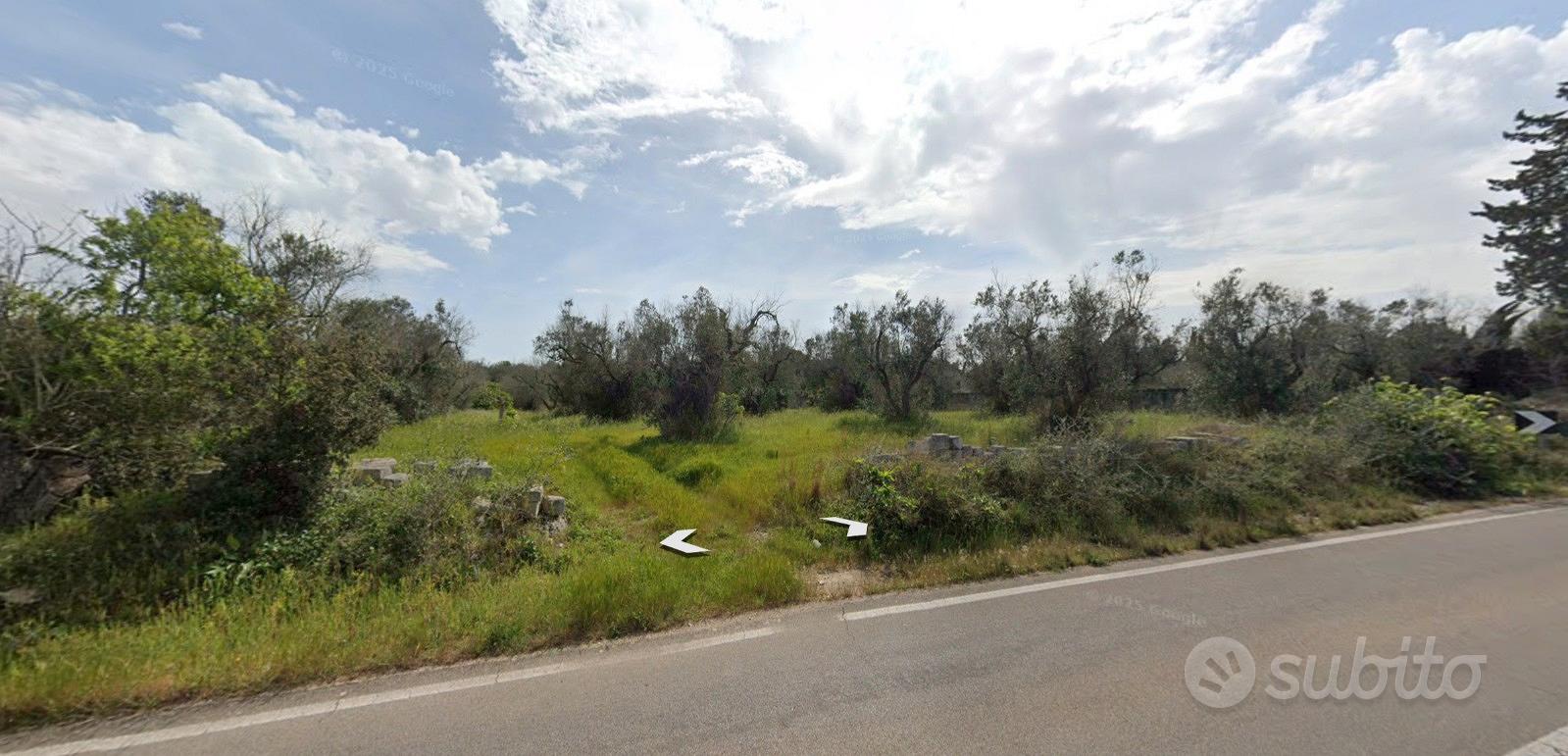 Terreni e Olivete - circa 8600mq - vicini al mare - Altro