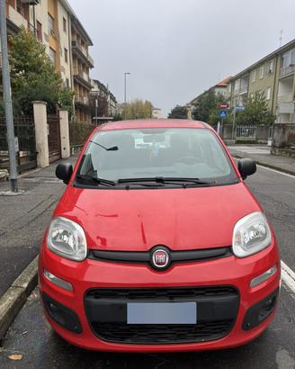 FIAT PANDA 1.0 FIREFLY HYBRID CITY LIFE 2022