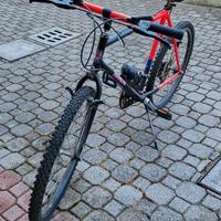 bici da uomo