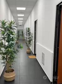 Ufficio 60mq a10 - nuovo