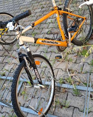 MTB Bianchi – Telaio Arancione