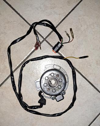 Accensione Kokusan Gas Gas ec/mc 125-200-250-300