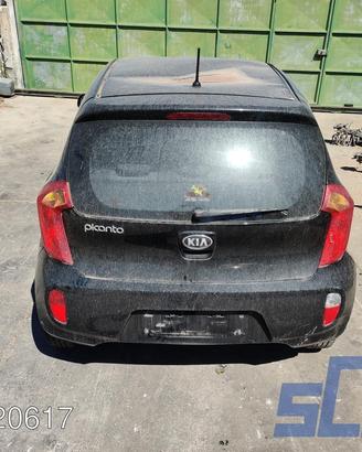 KIA PICANTO TA 1.0 69CV 11-17 - Ricambi
