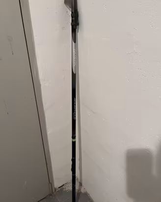 Canna bolognese daiwa amorphous 7-6 mt